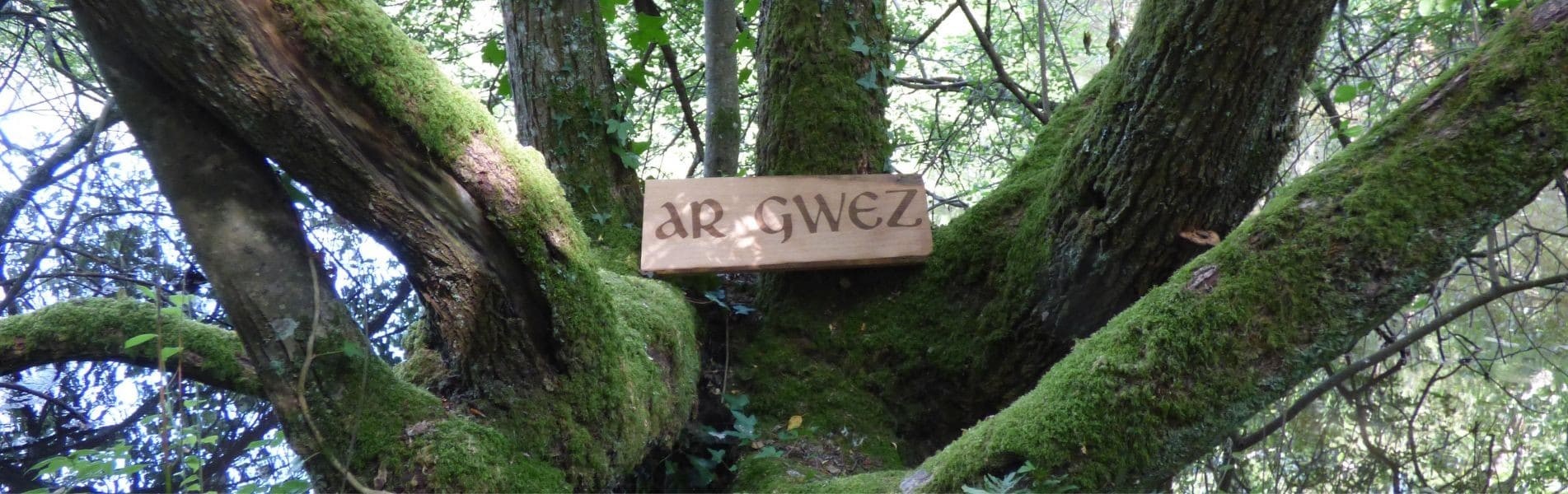 Ar Gwez - Son histoire